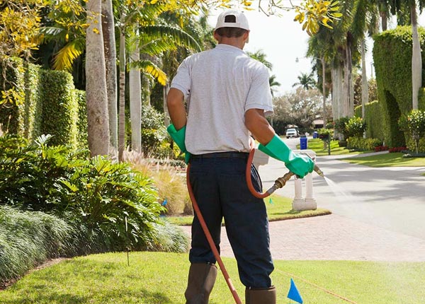 About College Springs IA Pest Control